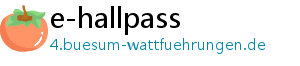 e-hallpass