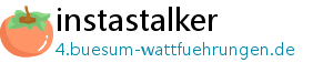 instastalker