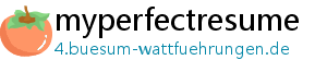 myperfectresume