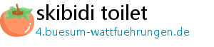 skibidi toilet