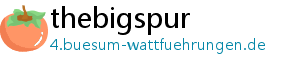 thebigspur