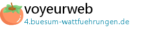 voyeurweb